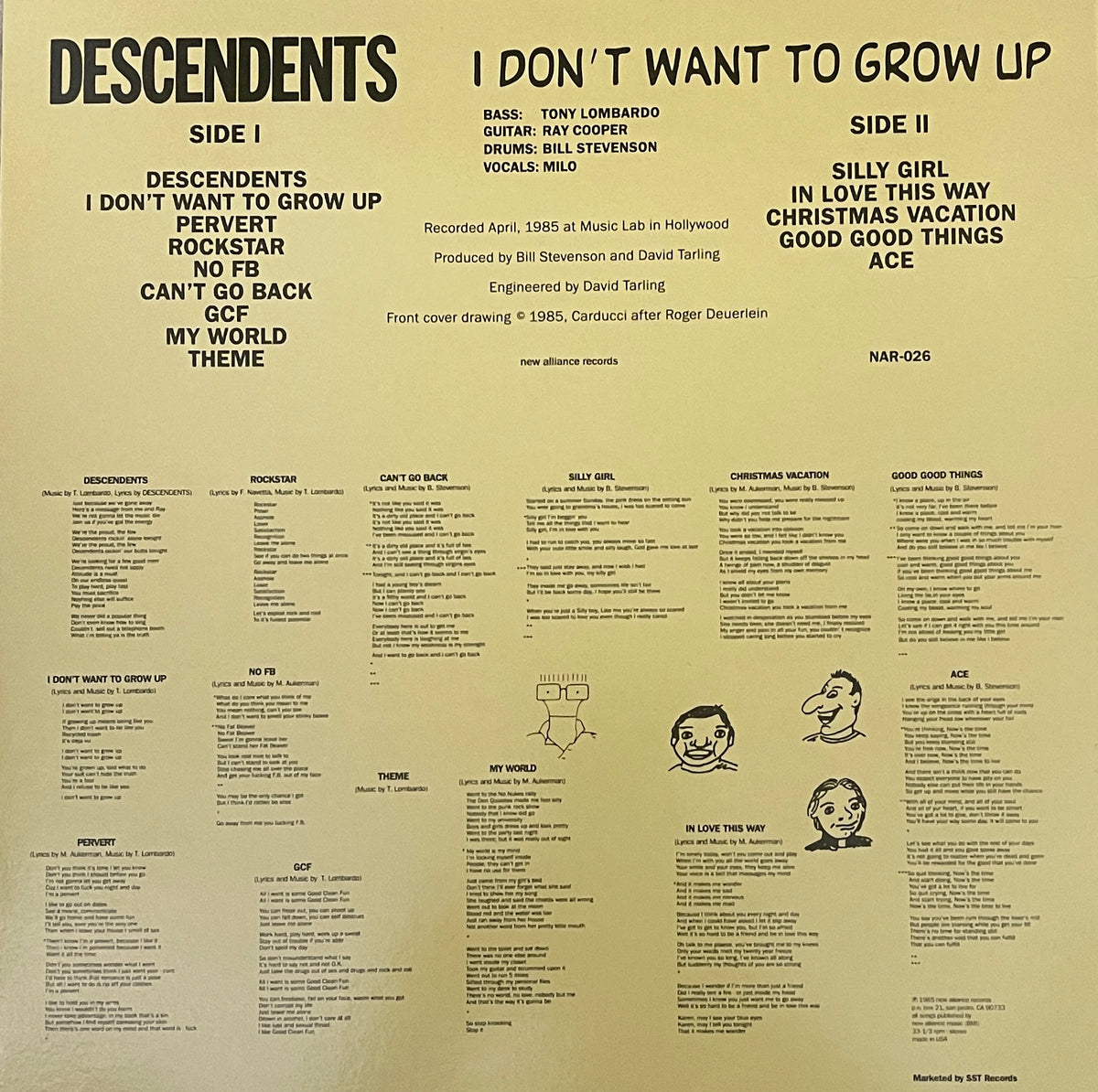 LP Vinyl Record! NEW, sealed! Descendents 'I Don't Want To Grow Up'