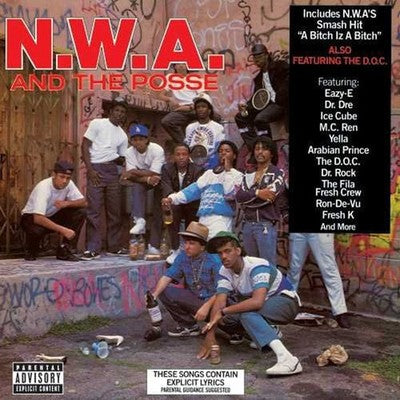 LP Vinyl Record! NEW, sealed! N.W.A. 'N.W.A. And The Posse'