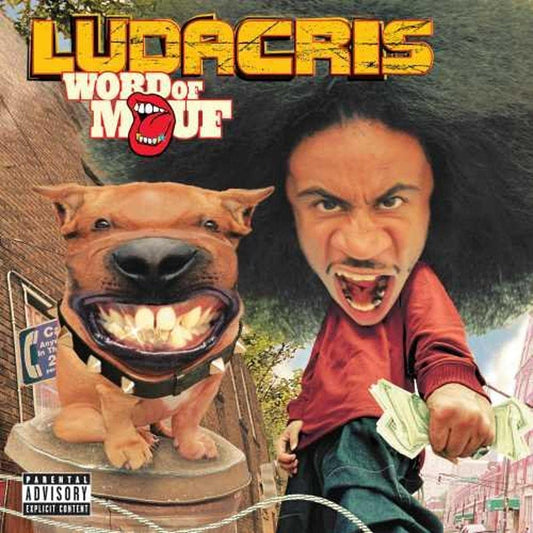 LP Vinyl Record! NEW, sealed! Ludacris 'Word Of Mouf'